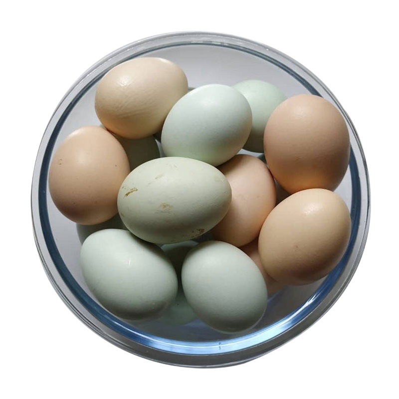 正宗农家野外高山散养新鲜草本绿壳乌鸡蛋乌鸡蛋草鸡蛋30枚新鲜农家乌鸡蛋农家蛋绿壳鸡蛋