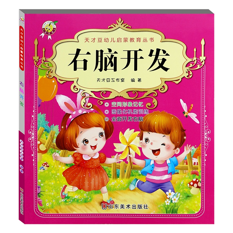 幼儿启蒙教育丛书 右脑开发 3-6岁幼儿右脑开发早教学习思维游戏智力开发专注力思维训练
