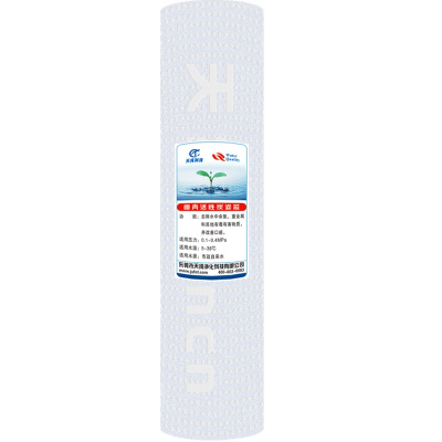 天纯净水器专用10寸PP棉UDF前置炭CTO烧结炭 卡接400G膜 韩式100G膜 小T33后置炭滤芯