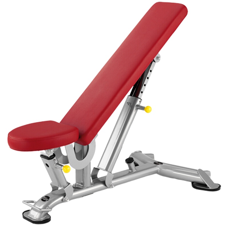 必艾奇(BH)综合训练器材多功能健身器材商用力量训练凳可调节哑铃椅健身房L825含安装及售后服务