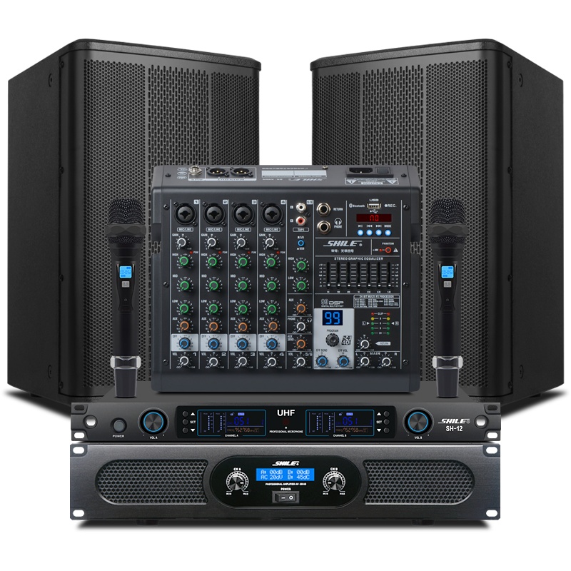 狮乐(SHILE)专业音箱套装家庭娱乐KTV企业活动会议培训商超背景音乐AV-2011D+天琴四号+BM-8+SH-12