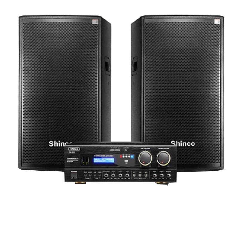 新科(Shinco)EM-10家庭ktv音响功放套装家用点歌机专用会议室舞台家庭卡拉ok设备专业点唱卡包音箱全套10寸