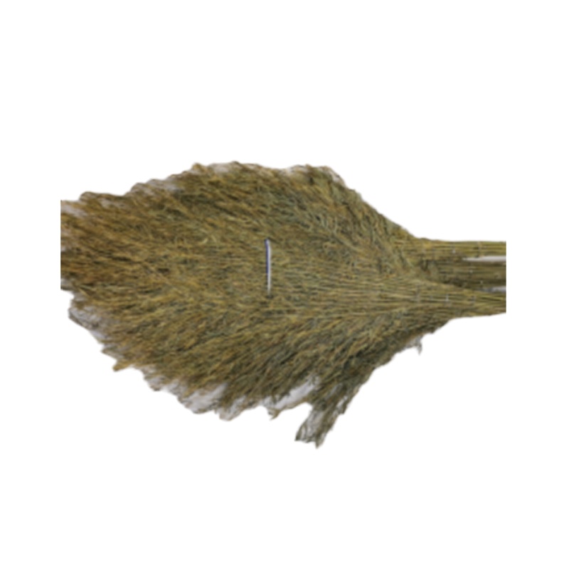 泰和 竹扫帚 深色 货期10天 20把起订