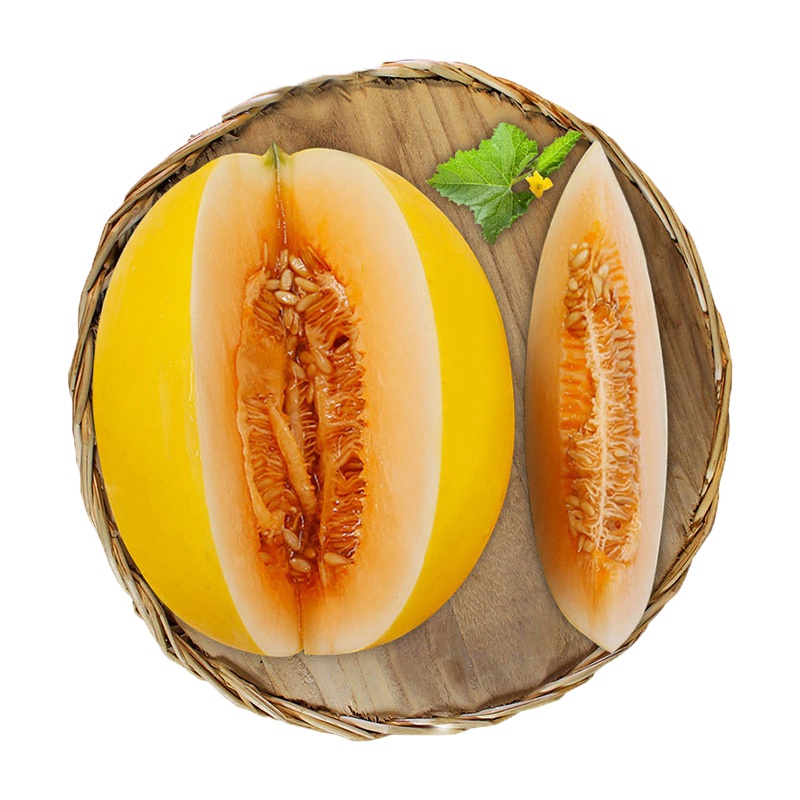展卉 黄河蜜瓜 1个装 单果重量约1.5-2kg 新鲜水果