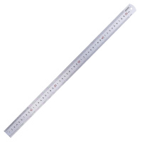 得力钢尺30cm