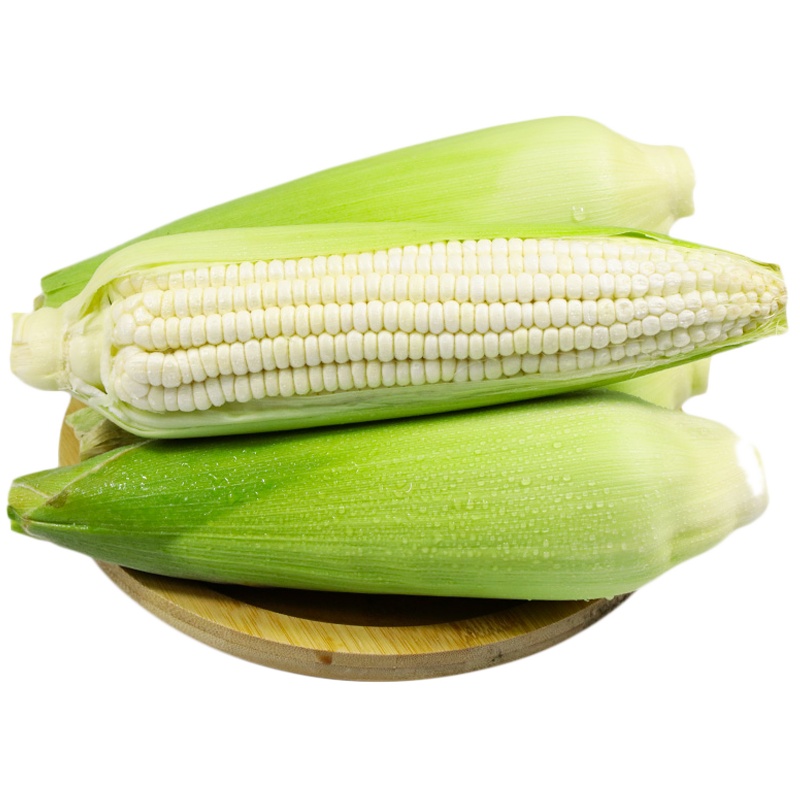 云南非转基因可生吃的爆浆牛奶玉米甜糯可口营养丰富