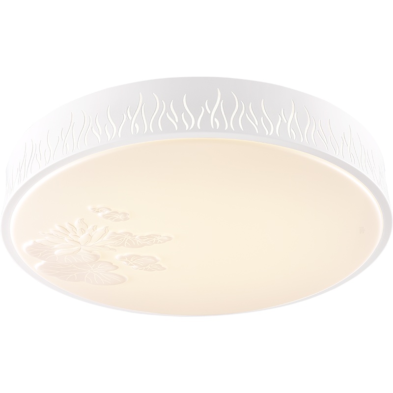 雷士照明(NVC)LED吸顶灯卧室灯阳台灯书房灯厨卫灯餐厅灯现代简约灯饰灯具百搭优质LED芯片高显色 测试商品