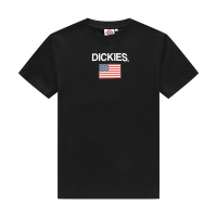 DICKIES 女士夏季新款短袖T恤印花简约休闲潮流时尚短袖