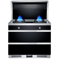 荣飞(Rongfei)集成灶一体灶台下排侧吸式油烟机厨房环保灶台自动清洗家用消毒柜套装750豪配款(天然气)