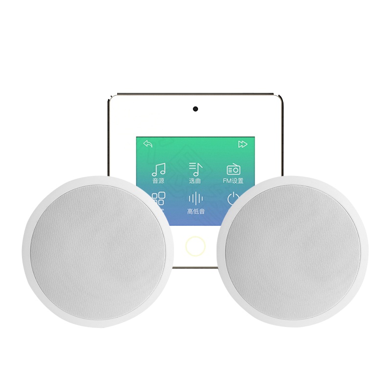 BOSE(博士)FS2C 白色 无源吸顶音箱 家庭背景音乐套装一 WIFI智能家庭影院音响组合嵌入式吸顶音箱主机蓝牙