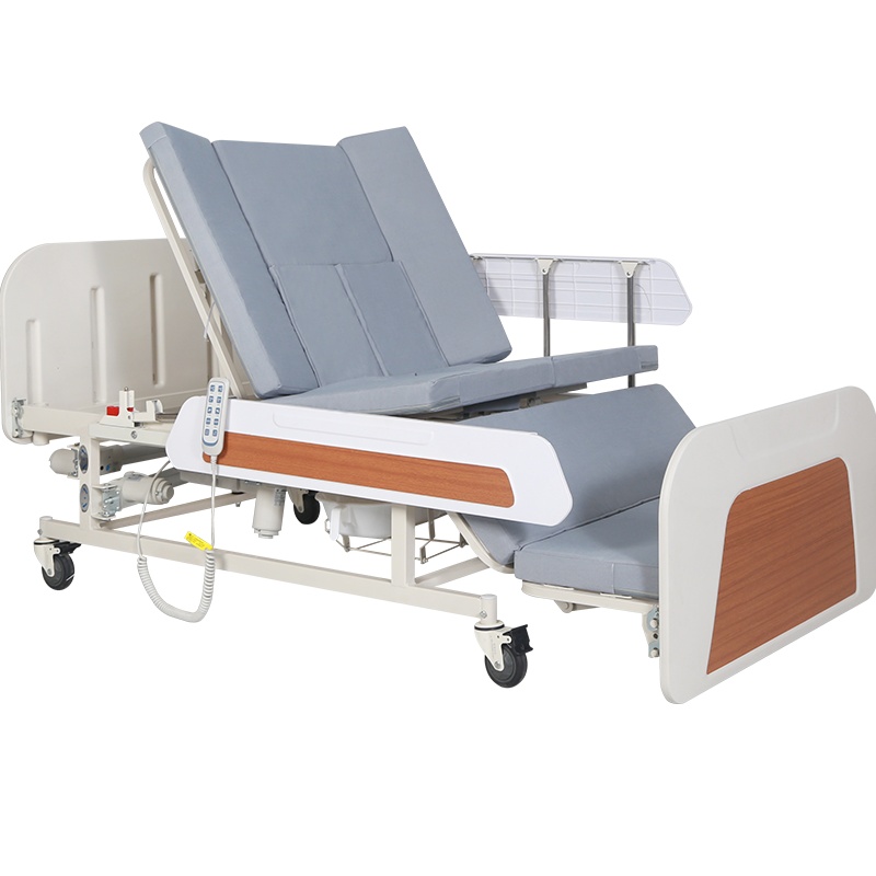 迈德斯特(MAIDESITE)电动护理床 电动家用瘫痪病人医用床多功能医疗床老人医院病床