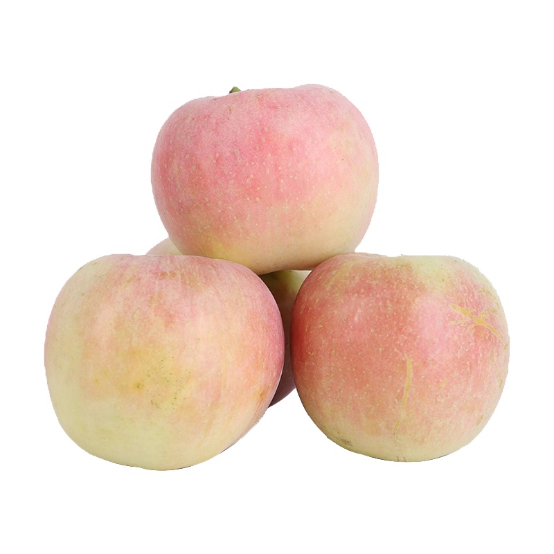 [西沛生鲜]四川 凉山盐源丑苹果 净重9斤 大果 箱装 当季 新鲜水果