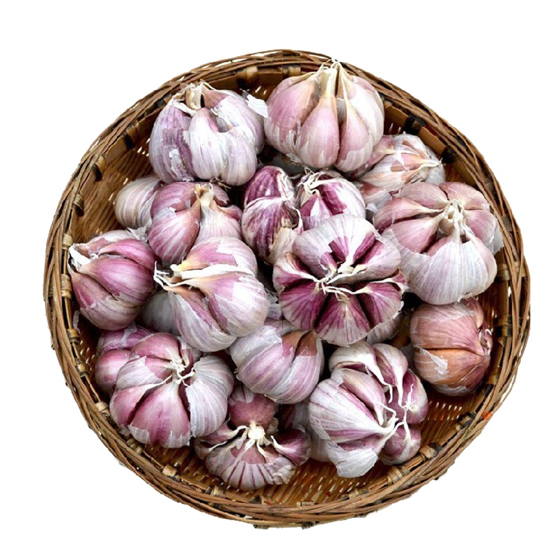 2.5kg 紫皮大蒜 新蒜多瓣蒜湿蒜干蒜干大蒜红皮半干大蒜