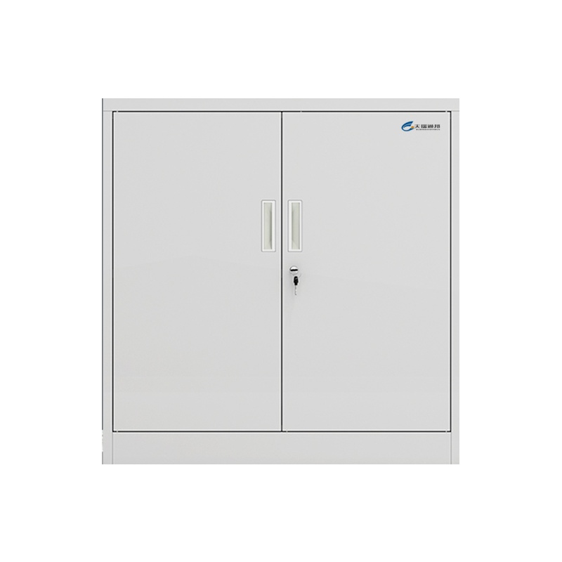 天瑞通邦 备品柜 900*850*390mm 套