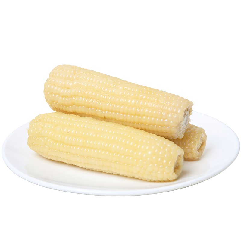冬田东北白糯玉米新鲜现摘粗粮粘玉米真空装糯玉米棒整箱糯米玉米早餐白玉米糯玉米棒粘苞米粗粮早餐整箱