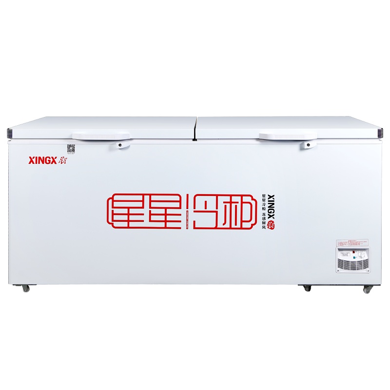 星星(XINGX) BD/BC-728GE 厨房商用保鲜设备718升商用卧式大冷柜 冷藏冷冻转换柜 大冷冻力冰柜