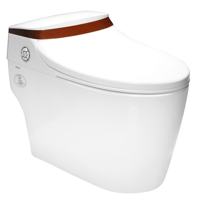 法恩莎一体智能马桶多功能高端电动即热坐便器FB16160全自动座便