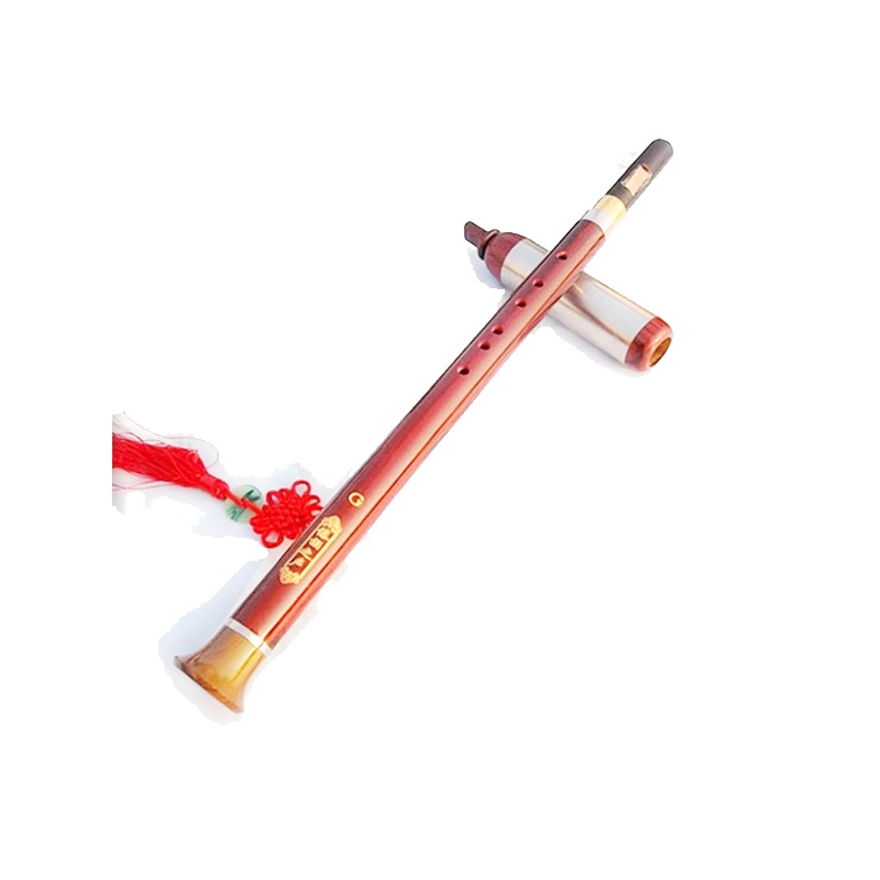 炎黄初学乐器专卖竖吹仿红木巴乌初学可拆卸树脂胶木巴乌G调F调 G调巴乌+礼品