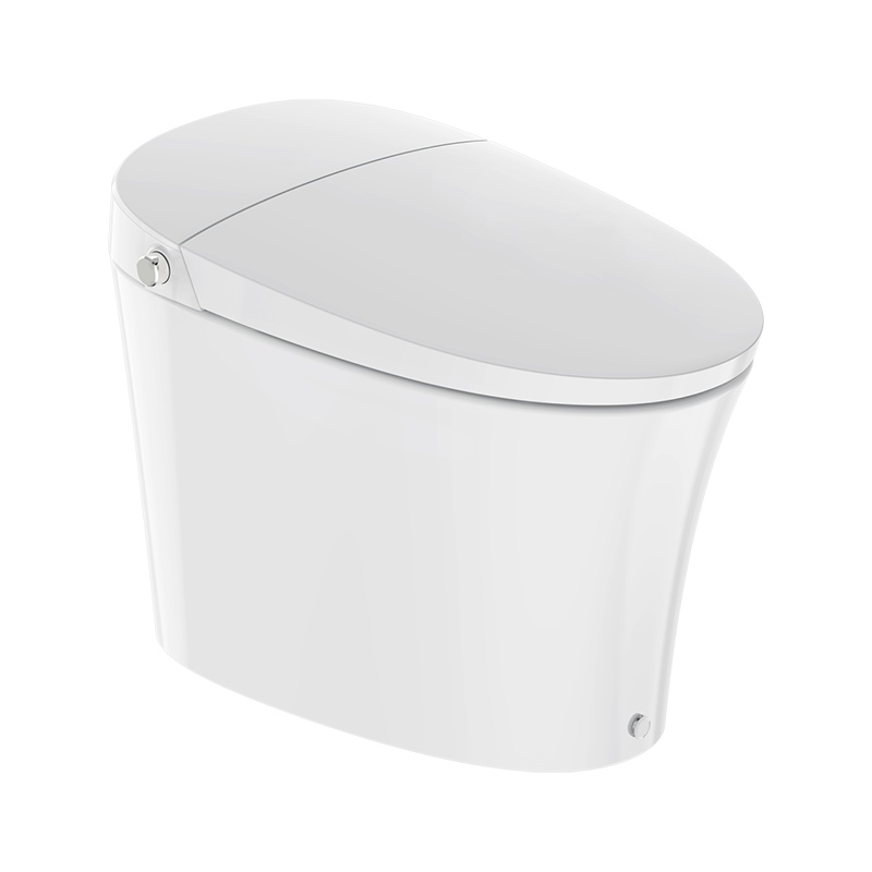 东鹏卫浴(DONGPENG)智能马桶一体机全自动烘干妇洗智能坐便器 智能马桶连体马桶