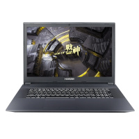 神舟(HASEE)战神GX8-CT5DH 17.3英寸发烧游戏吃鸡笔记本电脑(i5-9400 8G 256GSSD+1TB RTX2060 超高端94%色域120Hz电竞屏)