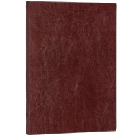 得力(deli) 3186 25K/160页商务皮面本/办公记事本笔记本子