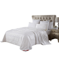 梦洁(MENDALE)家纺梦洁美颂纯桑蚕丝儿童夏凉被空调被1.8m春秋被夏季薄被子纯甄被芯床上用品