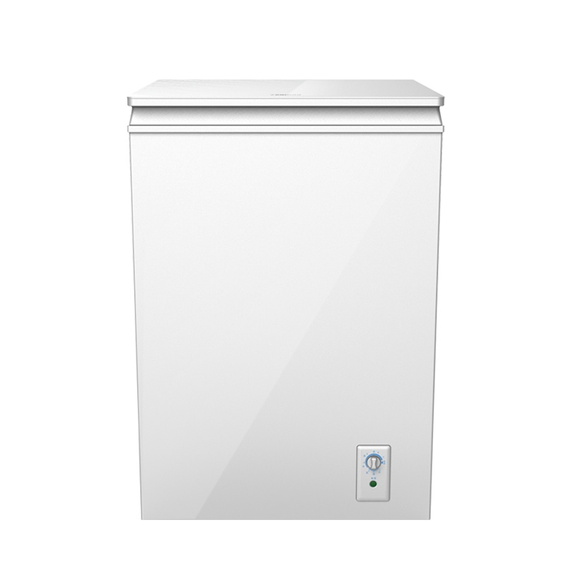 扎努西·伊莱克斯/ZANUSSI ZCM1000LGA 100L时尚家用冷柜 新1级能效节能低音卧式冷柜