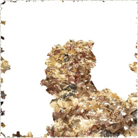 丛林狐(此款为一个平方价格)户外丛林迷彩军迷伪装汽车遮阳观鸟防晒防航拍装饰丛林迷彩款