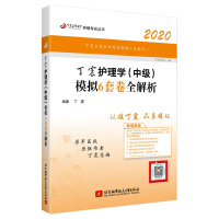 2020年丁震护理学中级考试用书模拟6套卷护资资料全套试题真题库试卷护士资格证人卫指导教材丁振书原军医版2019主管护师