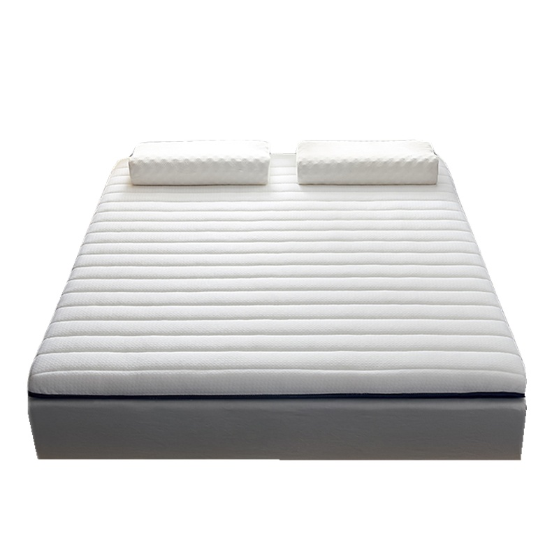 北极绒乳胶床垫加厚榻榻米垫子1.5米1.8米学生宿舍褥子垫被双人家用垫子