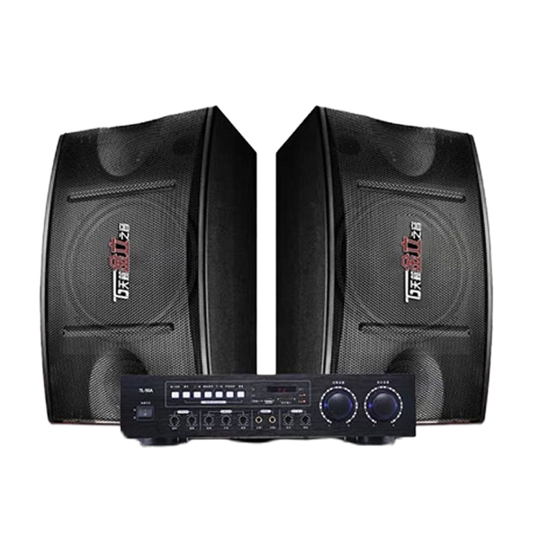 会议室音箱 全套连电视投影仪蓝牙功放大功率 天籁K10寸音响套装