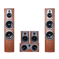 Hivi/惠威 D500 5.1+RX-V4A家庭影院家用客厅音响套装木质音箱