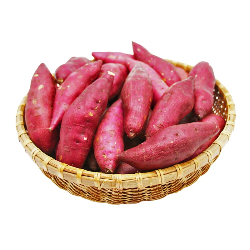 新鲜现挖临安天目山小香薯5斤红薯农家蜜薯紫薯地瓜板栗山芋番薯