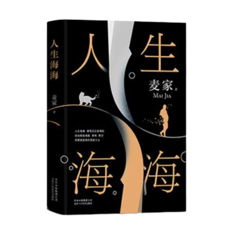 人生海海 麦家著