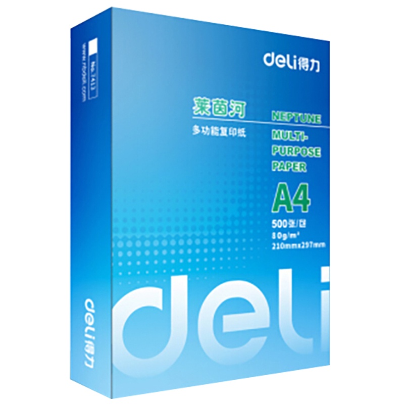 得力7419 莱茵河复印纸 A4 80g5包/箱