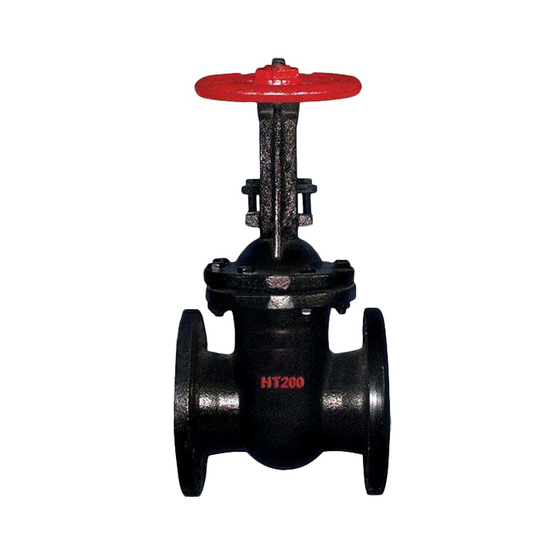 规格[DN40]铸铁阀门大口径闸阀法兰常温闸阀