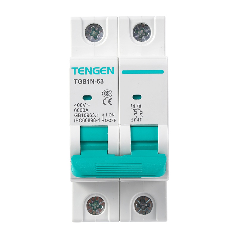 天正电气 空气开关TGB1N-63 2P C 50A 6KA 01060270093 微型断路器