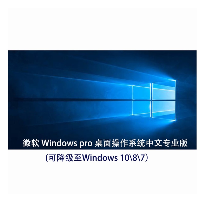 微软软件 Windows pro 桌面操作系统中文专业版 （仅限政府和能提供事业单位证明的用户 ）