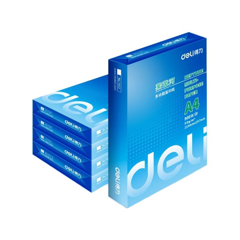 得力(deli)莱茵河 80g A4 复印纸 中高档打印纸 500张/包 5包1箱(整箱5包 2500张)
