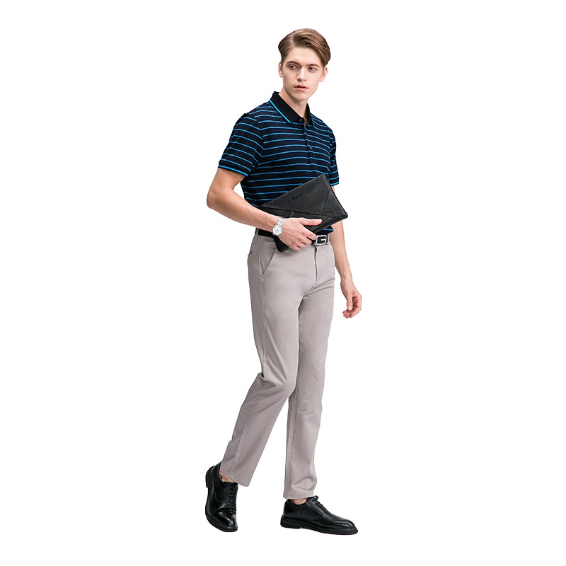 Ave Rapaz 男士商务短袖 商务休闲POLO短袖T恤男中年商务休闲翻领条纹丝光棉半袖T恤polo衫潮流