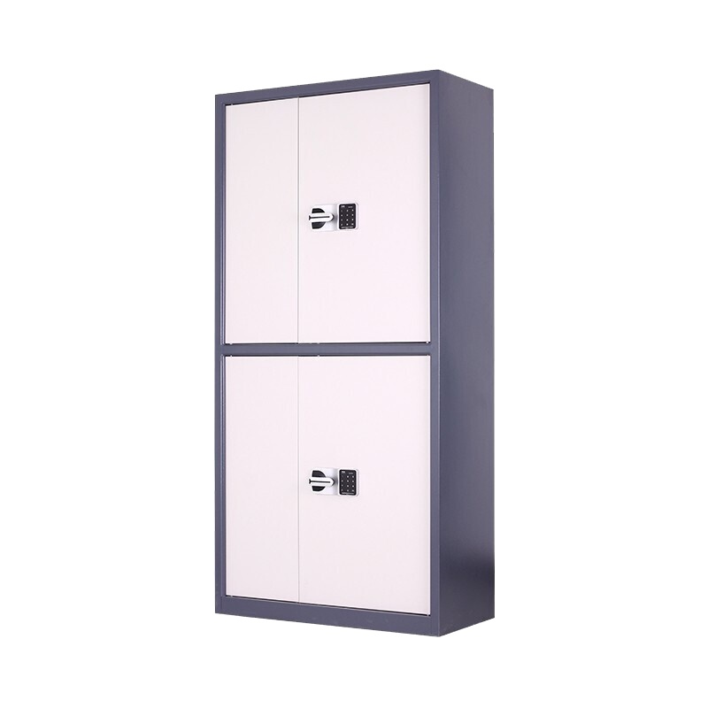 尔迈 钢制档案柜保密柜灰白色通双节国保锁内二斗保密柜