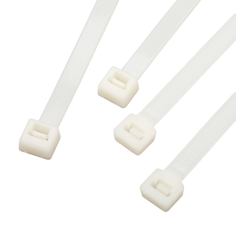 伊瑟尔 尼龙扎带3.6*250mm 扎线带0021(100根/包)