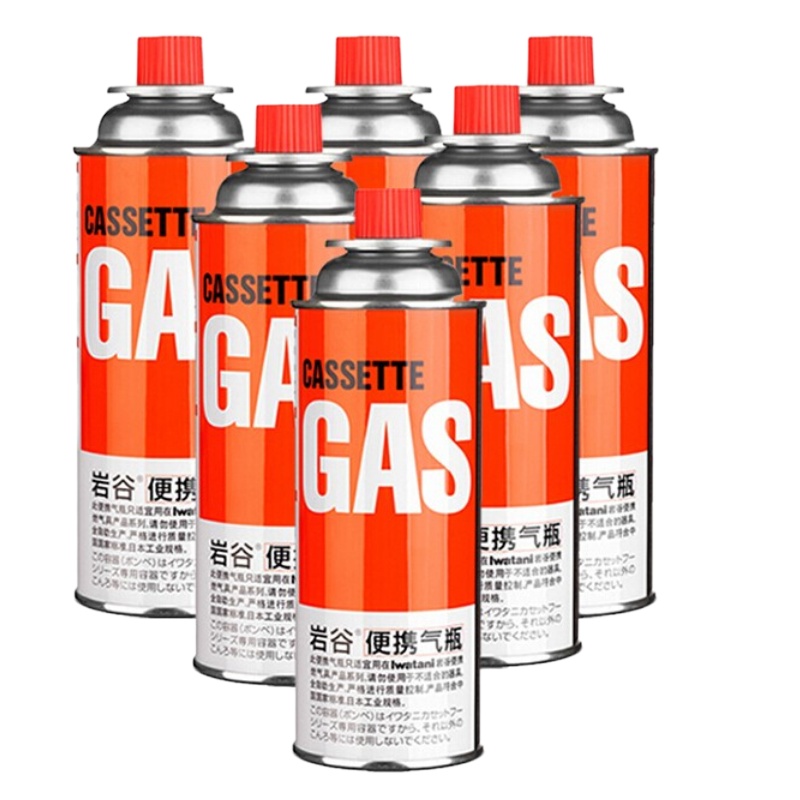 岩谷 户外便携燃气瓶野炊野餐喷枪炉具气瓦斯罐装气体 220g*5罐