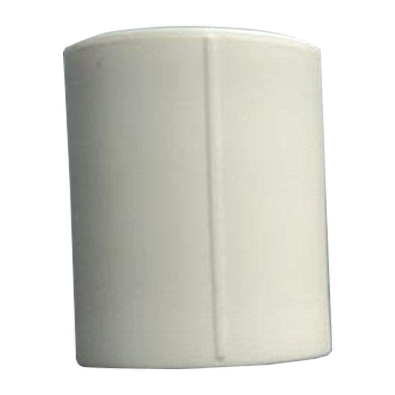 雄塑PPR等径水管直通 25mm (10个)