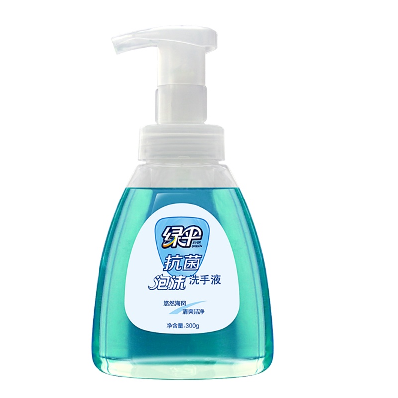 绿伞 抗菌手洗泡沫 洗手液 (悠然海风)300g/瓶 绿伞出品