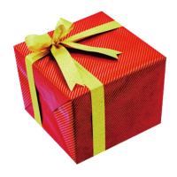 博威 定制款防暑礼包