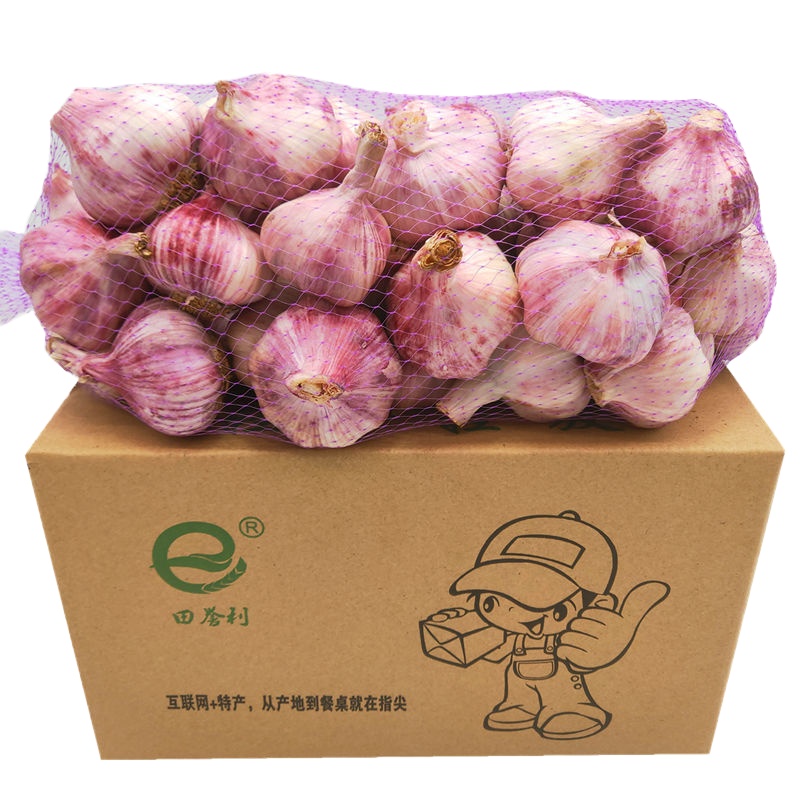 3斤精选装 10斤河南新蒜新鲜大蒜紫皮2斤精选腌制糖醋蒜紫皮大蒜头批发鲜蒜甘鲜生
