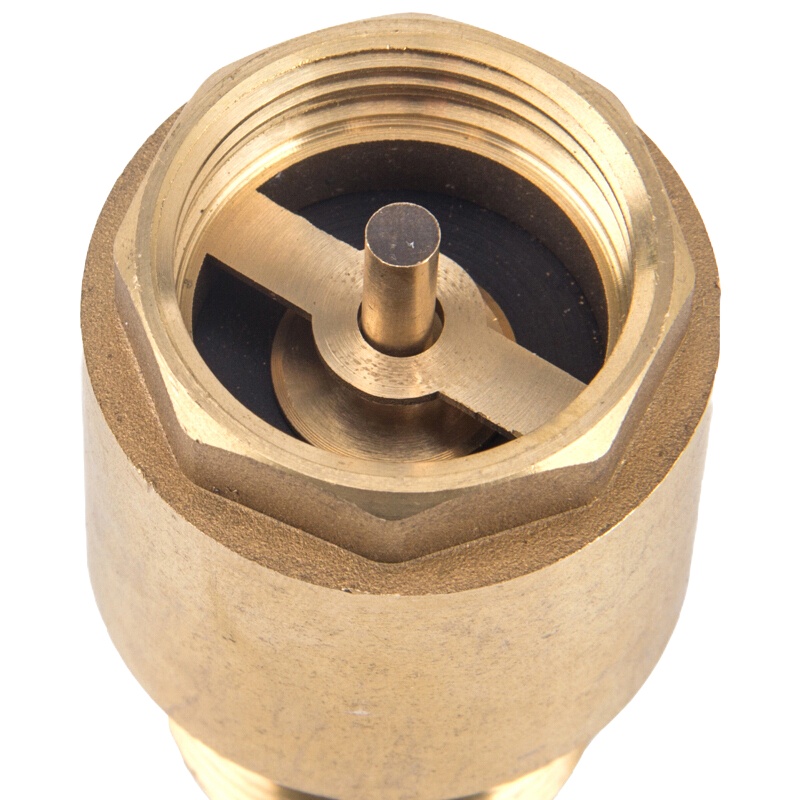 东誉达 立式止回阀全铜加厚水泵水管水表止逆阀弹簧单向阀DN50 2寸