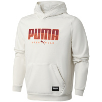 【自营】PUMA彪马男装运动服休闲针织连帽卫衣586543