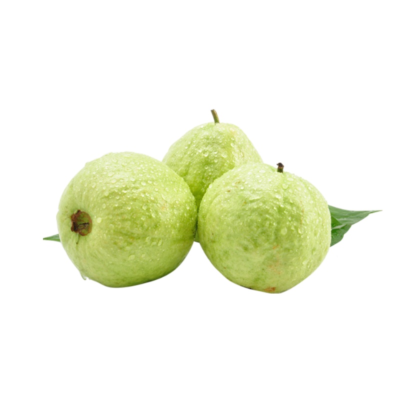 [西沛生鲜]番石榴 奶油白心芭乐 3斤 海南新鲜水果 时令水果 果园现摘 清甜可口 西沛